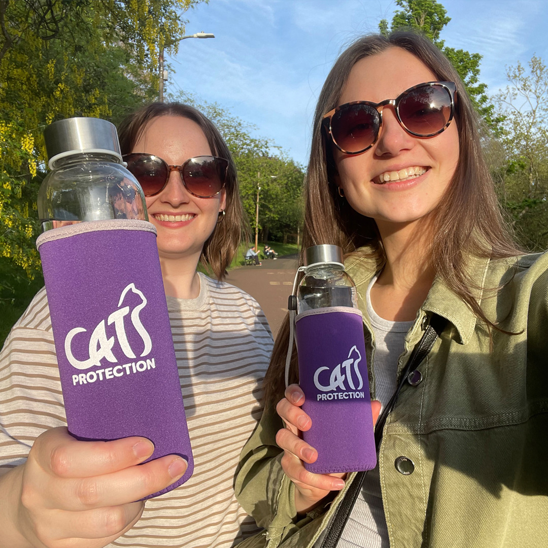 Big summer roam events cats protection