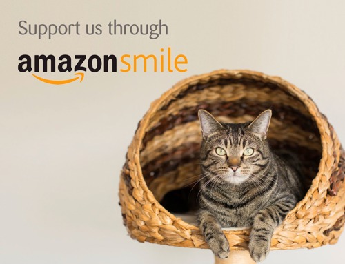 Brown tabby cat sat inside wicker cat bed with 'Support us through AmazonSmile text'