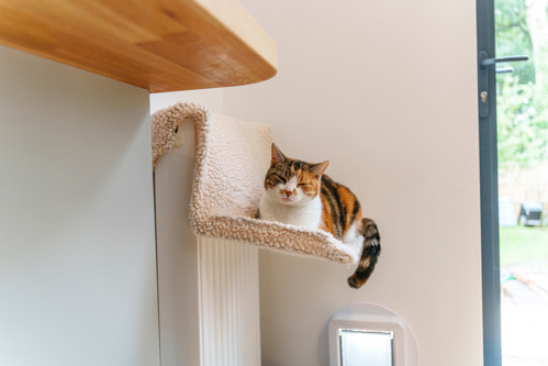 ginger-and-tabby cat sat on fleecy cat bed hanging on a radiator on the wall