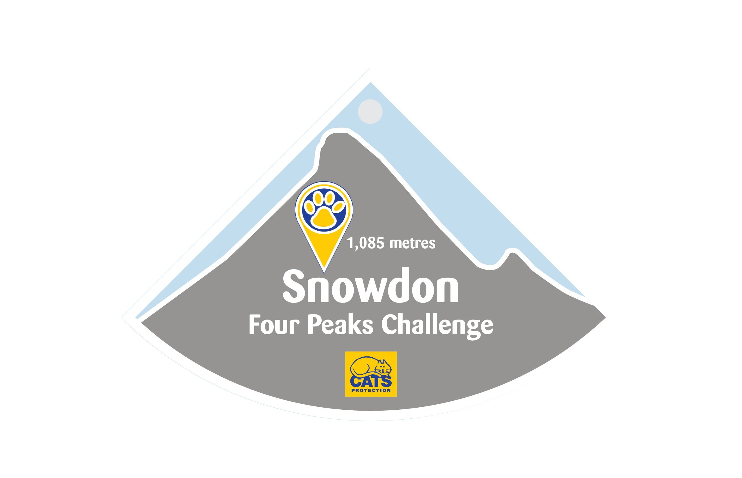 Virtual Snowdon Climb