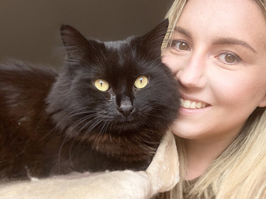 Press Releases Cats Protection