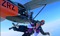 Southwest Centenary Skydive