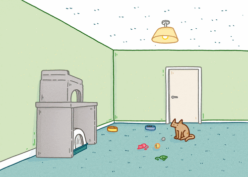 animated illustration of ginger cat in room with cat bed, litter tray, bowls and toys