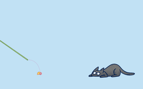 animated illustration of black cat with fishing rod toy
