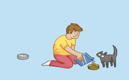 animated illustration of man pouring out cat food into bowl