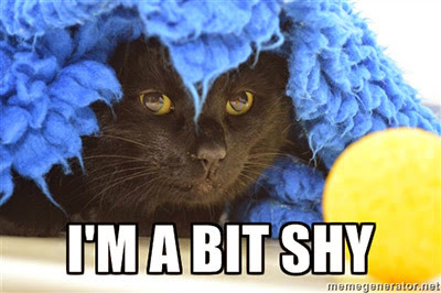 black cat hiding under blue fleece blanket meme