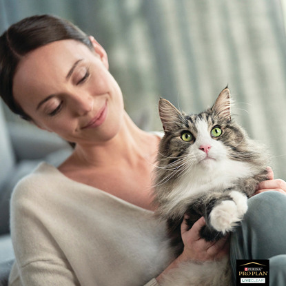 brunette woman with long-haired grey-and-white cat on lap