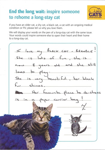 handwritten note from a cat owner inspiring other people to adopt a cat