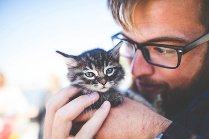man with glasses holding tabby kitten