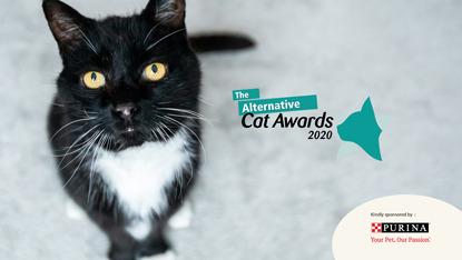 black and white cat next to Alternative Cat Awards logo
