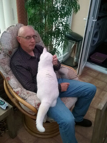 man sitting in conservatory rubbing the ear of a white cat