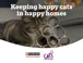 Purina Cats Protection Campaign Web Banner
