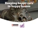 Purina Cats Protection Campaign Web Banner