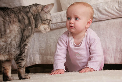 tabby cat with baby in pink top