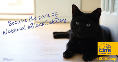 Become the face of National Black Cat Day