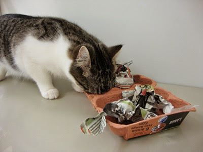 tabby-and-white cat sticking its head inside egg box puzzle feeder