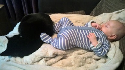 black cat curled up next to sleeping baby