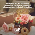 A birthday cake with text saying 'This Year For My Birthday, Instead Of Cards And Presents Please Donate To Cats Protection. Fundraising in aid of' and the Cats Protection logo