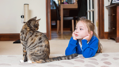 blonde young girl laying down next to tabby cat