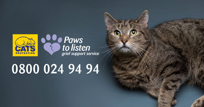 tabby cat and contact information for the Cats Protection Paws to listen grief support service