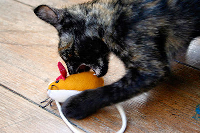 tortoiseshell cat playing with mouse toy