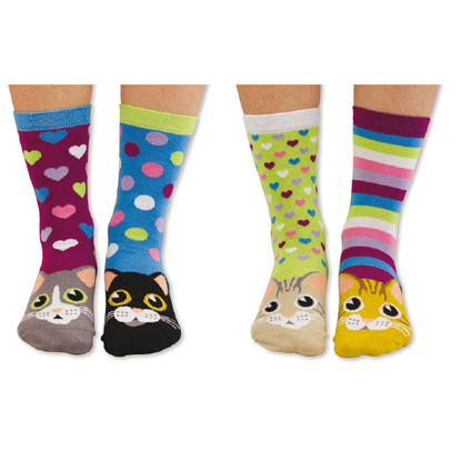 colourful cat face socks