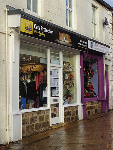front of a Cats Protection charity shop