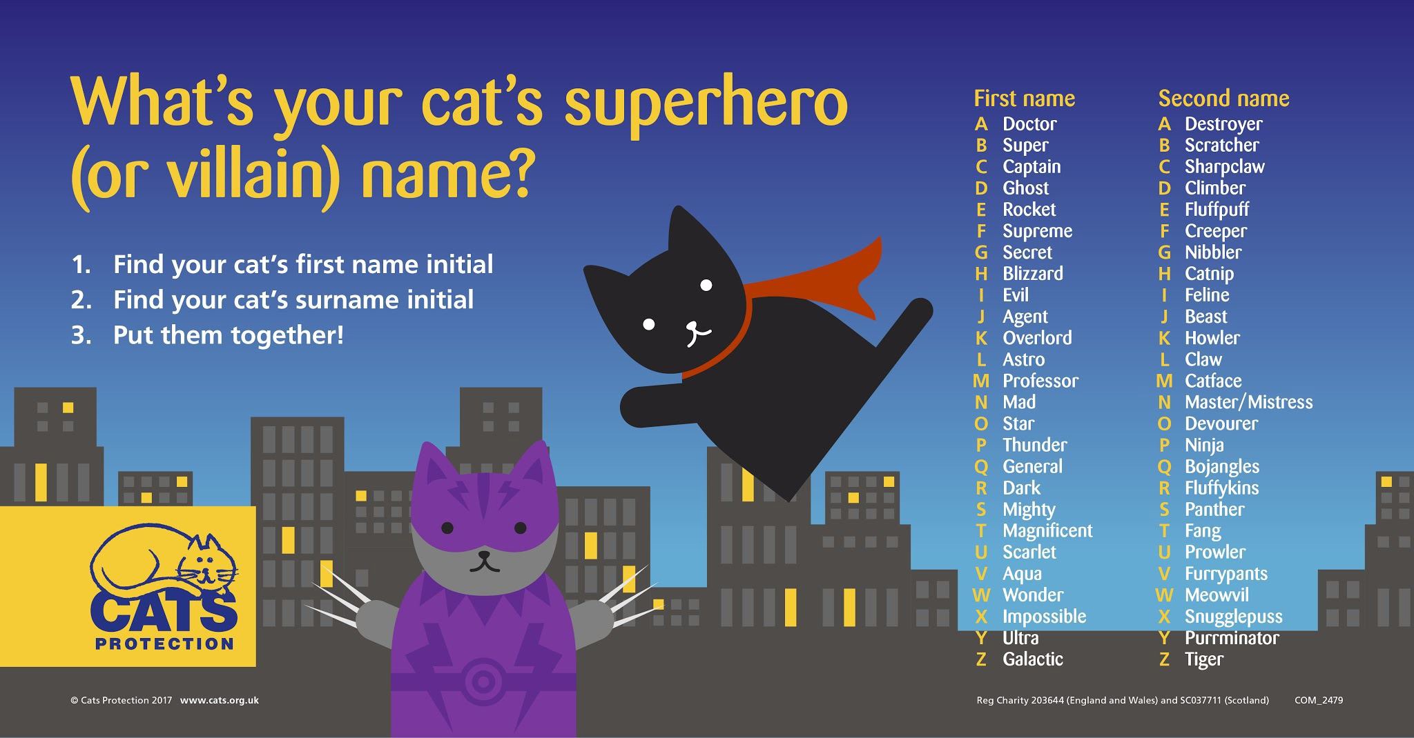 Guide to finding out your cat’s superhero name