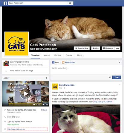 Screenshot of Cats Protection's national Facebook page