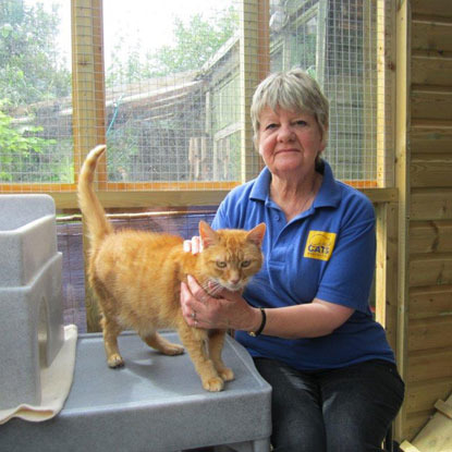 Woman in Cats Protection t-shirt with ginger cat in outdoor cat pen