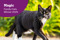 Family Cats finalists