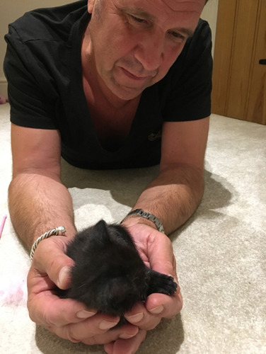 David Seaman holding small black kitten