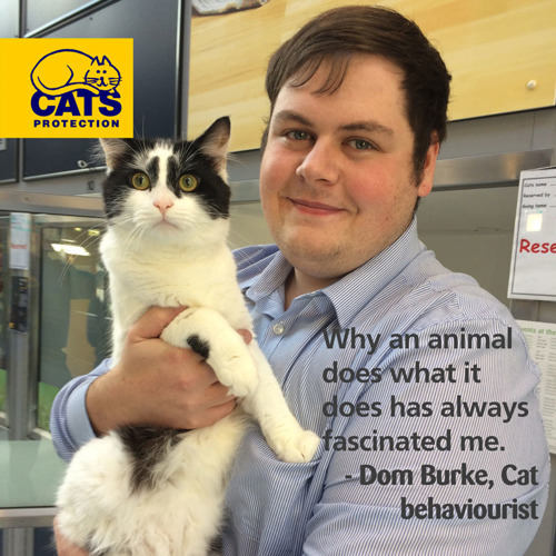 Cat Behaviourist Dom Burke holding a black-and-white cat