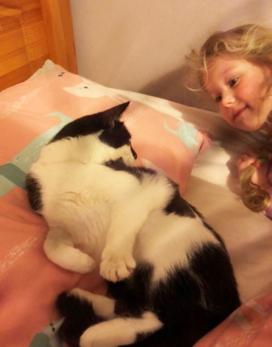 black and white cat with little girl