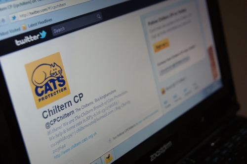 Laptop screen showing Cats Protection Chiltern's Twitter page