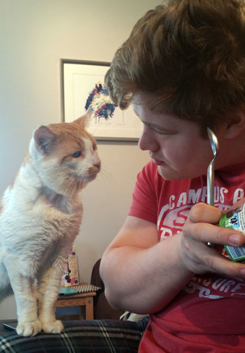 Man with ice cream and spoon with a ginger and white cat on his lap