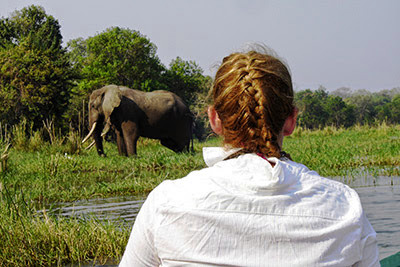 woman in canoe on Zambezi River by an elephant