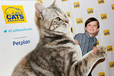 Felix Burrows with the Manifesto for Cats giant kitten