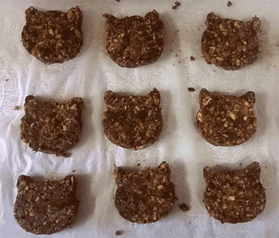 cat shaped cookies