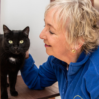 Cats Protection volunteer stroking black cat