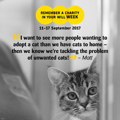 Remember a Charity Week graphic 2017 – tabby cat