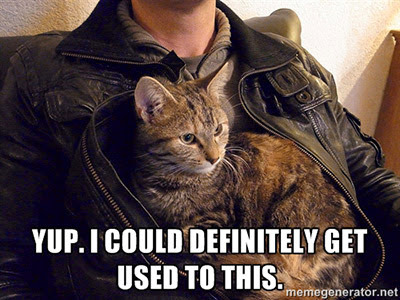 Tabby cat snuggled in chest of a man wearing a leather jacket