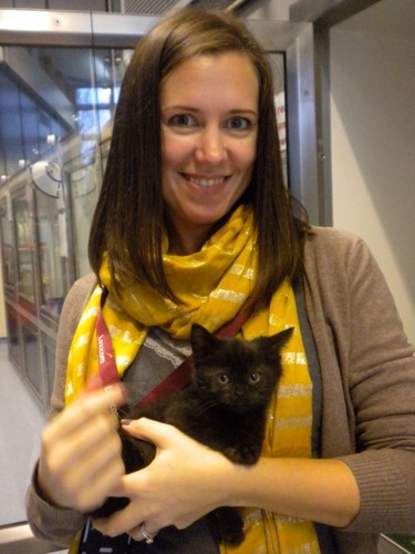 Dark haired lady holding black kitten in adoption centre