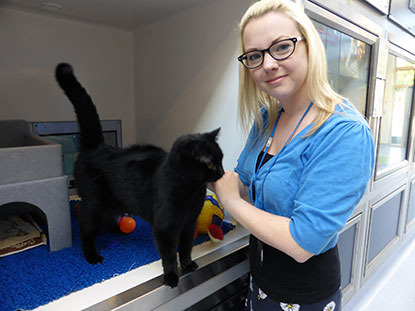 blonde woman with black cat in cat adoption centre