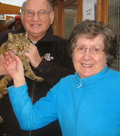 elderly couple with tabby cat