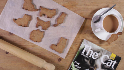 cat-shaped gingerbread biscuits next to The Cat magazine