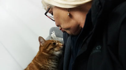 blonde lady kissing ginger cat