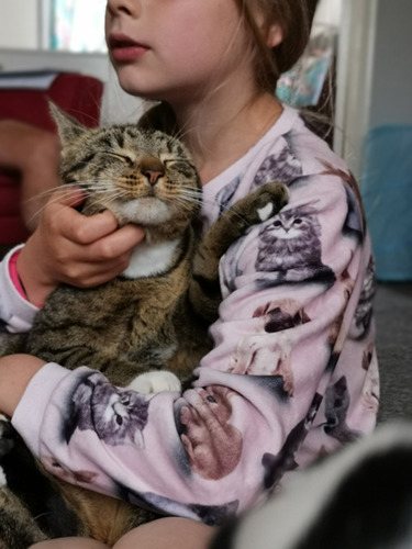 girl wearing a pink cat jumper holding tabby cat