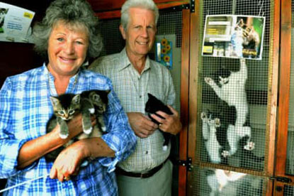 man and woman in cat pen holding kittens