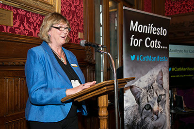 Heather McCann introduces the Manifesto for Cats